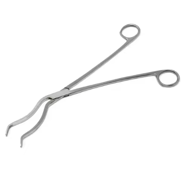 Dental Instrument Set