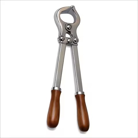 Dittel Urethral Sound