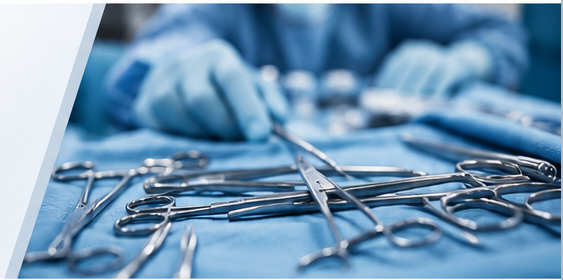 BERIX Surgical Instruments