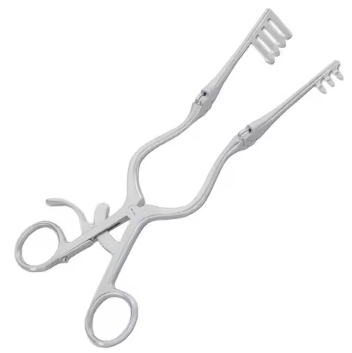 Dental Instruments Scalers Tray