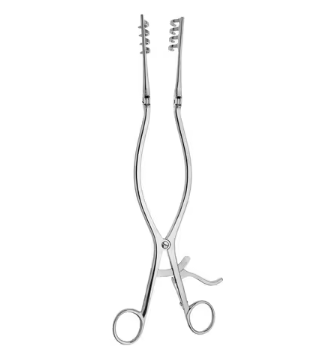 Curved Iris Scissors