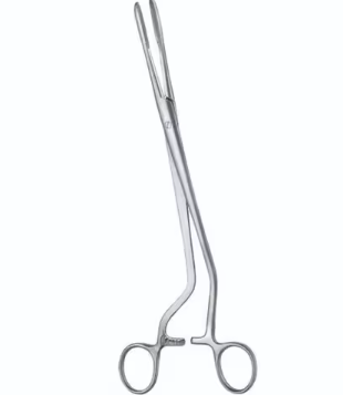 Curved Iris Scissors