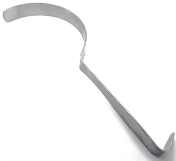 Curved Iris Scissors