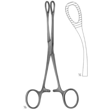 Dittel Urethral Sound