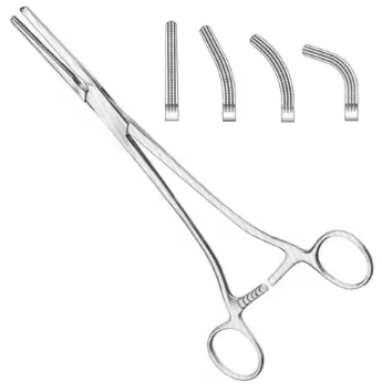 Needle Holder