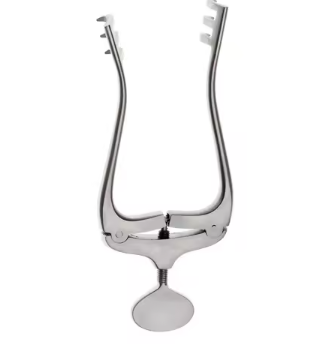 Curved Iris Scissors