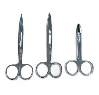 Dittel Urethral Sound