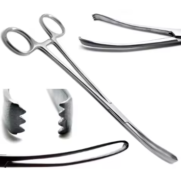 Curved Iris Scissors