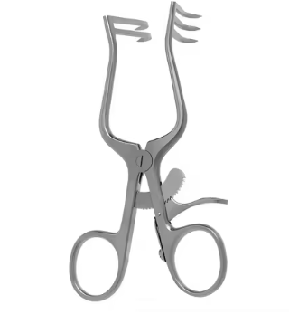 Curved Iris Scissors