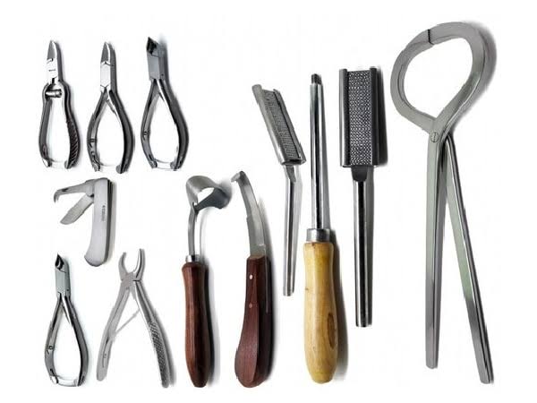 Veterinary Instruments